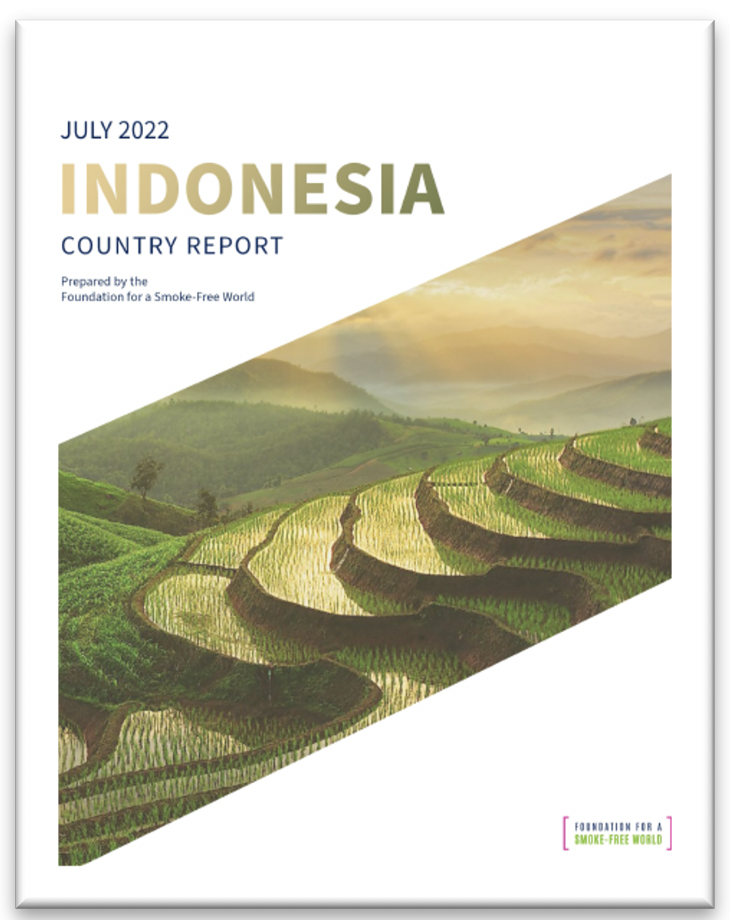 Indonesia Country Report